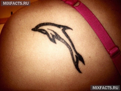 Идеи татуировки в виде дельфина