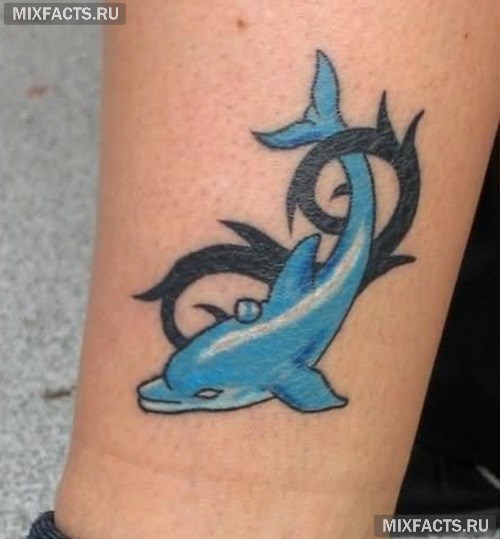 Идеи татуировки в виде дельфина