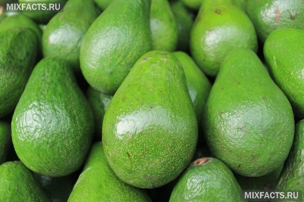 Простые рецепты с авокадо для похудения