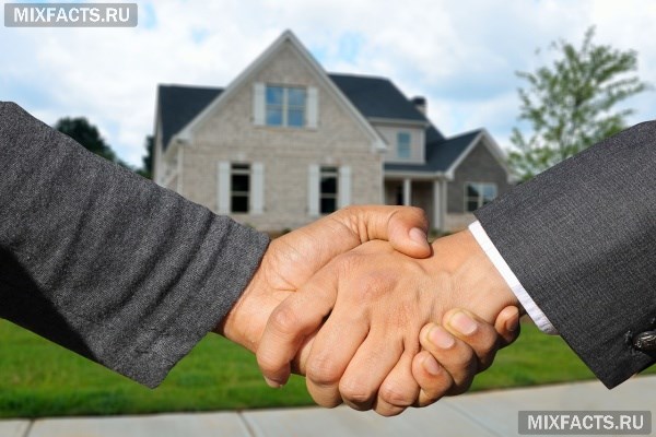 Как стать риелтором по недвижимости – инструкция развития с нуля до владельца собственного агентства 