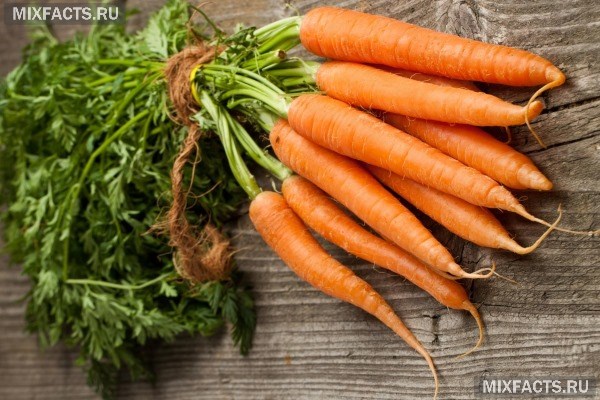 Чем полезна морковь и свекла? 