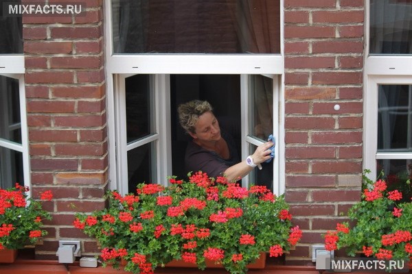 Как правильно мыть окна без разводов – выбираем состав и способ для чистки 