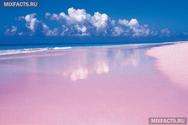 пляж розовых песков богамские острова интересные факты