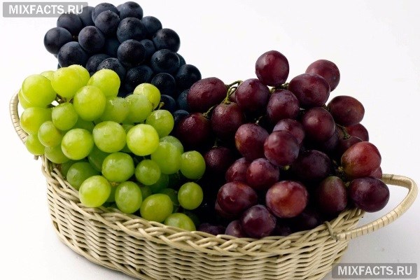Вред и польза винограда