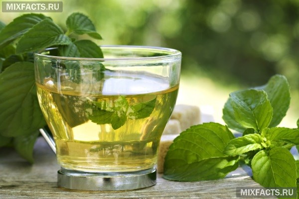 Чем полезен чай с мятой и как его приготовить? 