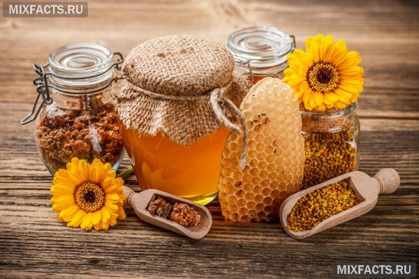 Сорта меда и их свойства 