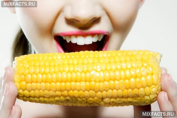 Можно ли кормящей маме кукурузу? 