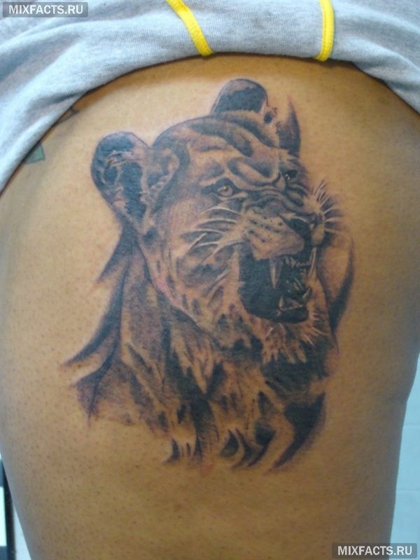 татуировка в виде льва на боку