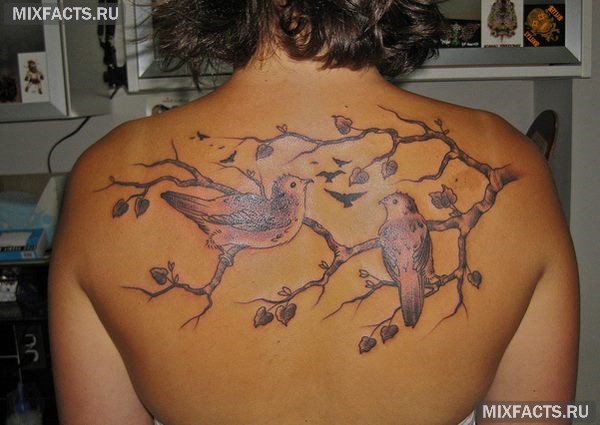 татуировка птиц на дереве на спине