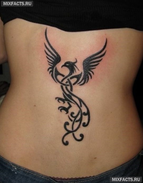 татуировка для девушки на спине в виде птицы