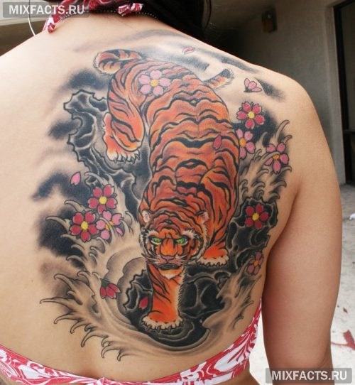 фото тигра татуировки