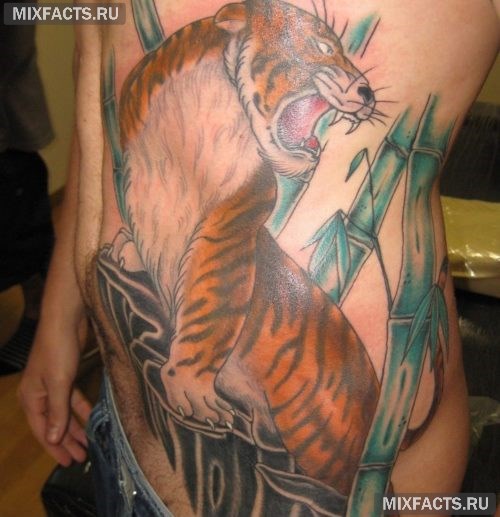 идеи татуировки тигра