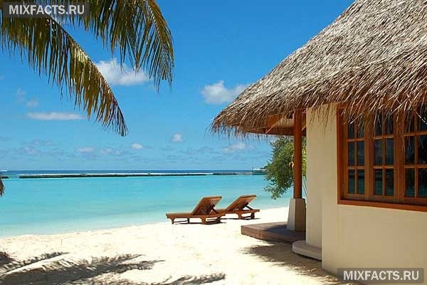 мальдивы мальдивские острова отдых на мальдивах отели туры на мальдивы цены