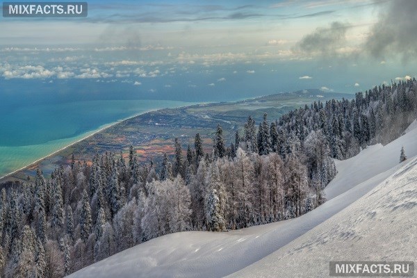 Абхазия Зимой Отдых На Новый Год