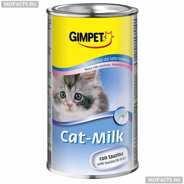 Заменитель кошачьего молока – обзор продукции и инструкция по применению