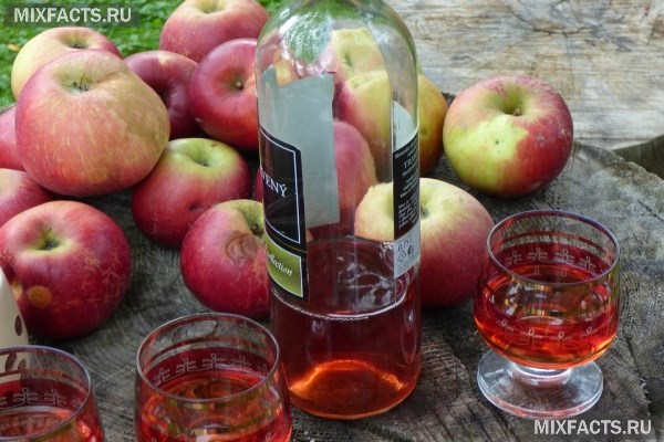 Простые рецепты вина из яблок в домашних условиях  