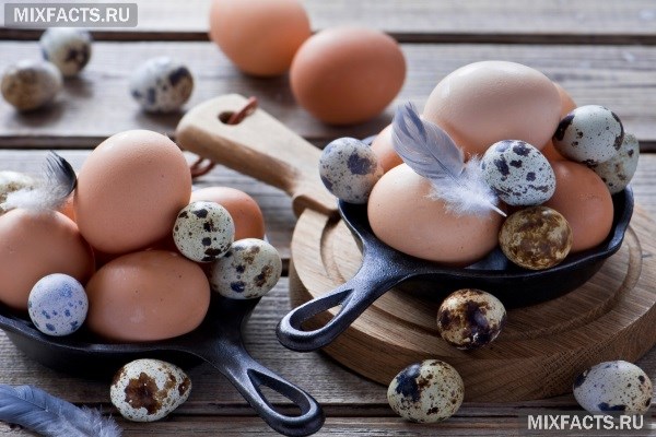 Как вылечить аллергию перепелиными яйцами thumbnail