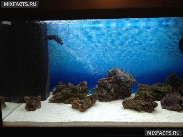 Виды грунта для аквариума с описанием и ценами