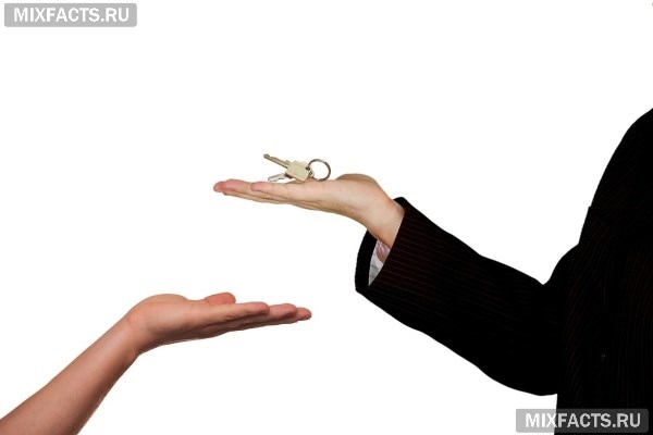 Как стать риелтором по недвижимости – инструкция развития с нуля до владельца собственного агентства 