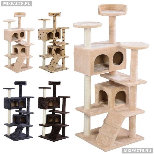 Домик для кошки – популярные модели и правила изготовления жилища своими руками 