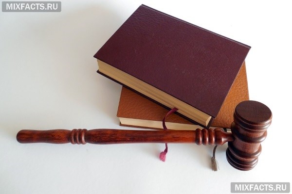 Кем может работать юрист – 8 вариантов смежной работы
