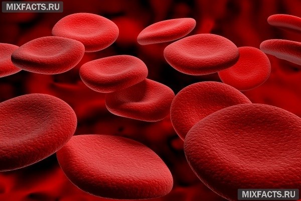 Причины понижения лейкоцитов в крови 