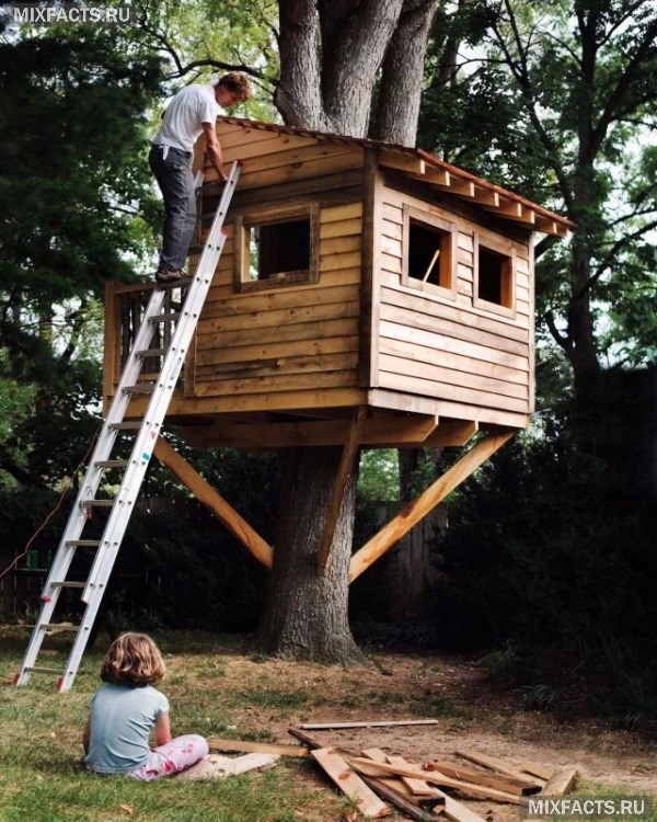 Как сделать домик на дереве своими руками?