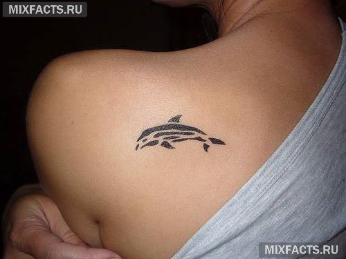 татуировка дельфин