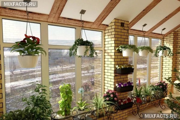 Растения для зимнего сада – список лучших вариантов для частного дома и квартиры 