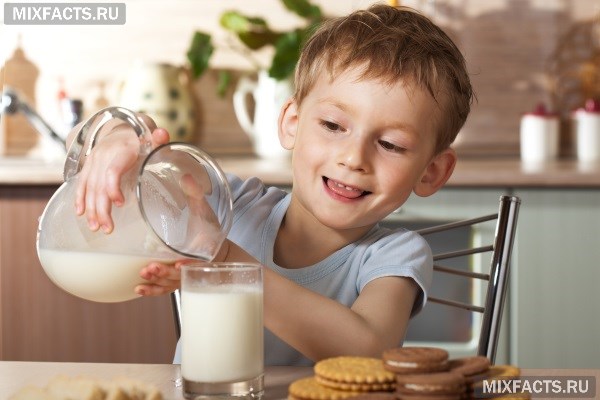 Польза козьего молока для детей 
