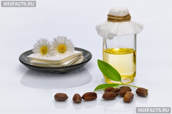 Масло жожоба - полезные свойства и применение в косметологии для лица, волос и тела