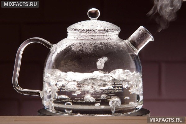 Какой купить чайник для газовой плиты – эмалированный, стеклянный, из нержавейки?