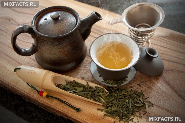 Хороший сорт зеленого чая: посадка и уход