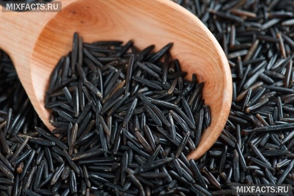 Как варить черный дикий рис? 