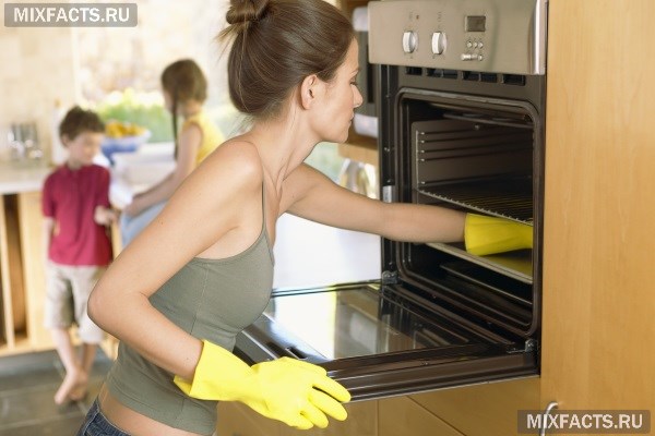 Как очистить духовку от жира и нагара в домашних условиях? 