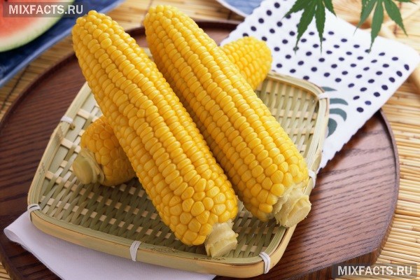 Полезные свойства вареной кукурузы 