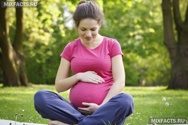 Беременность и развитие плода