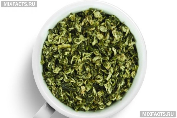 Польза зеленого чая для организма  