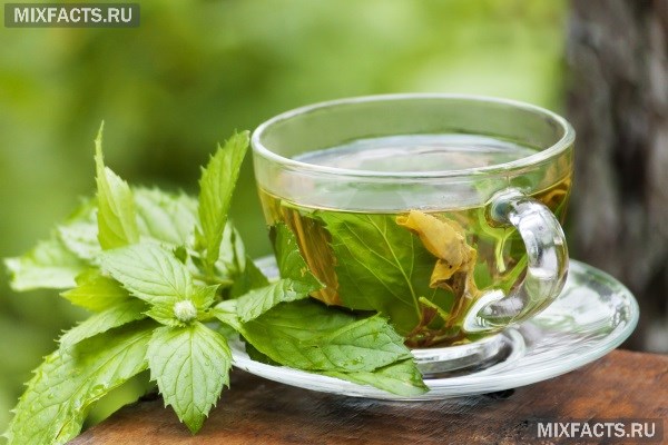 Чем полезен чай с мятой для женщин и мужчин? 