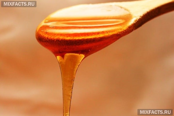 Можно ли есть мед при диете - польза и особенности медовой диеты 