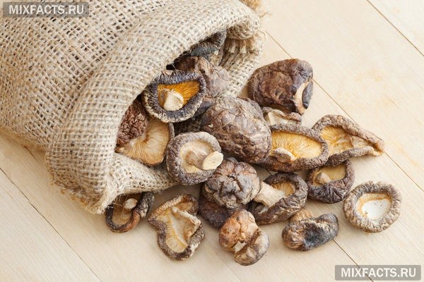 Сколько можно хранить грибы и как приготовить заготовки правильно?  