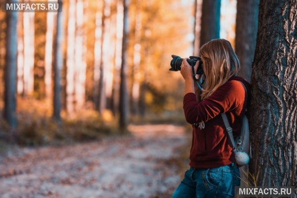 Как стать фотографом и открыть свою фотостудию? Этапы обучения с нуля и поиск работы