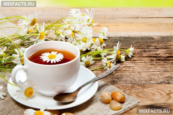 Чай из цветков ромашки