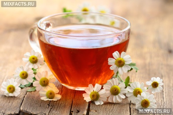 Чай из цветков ромашки