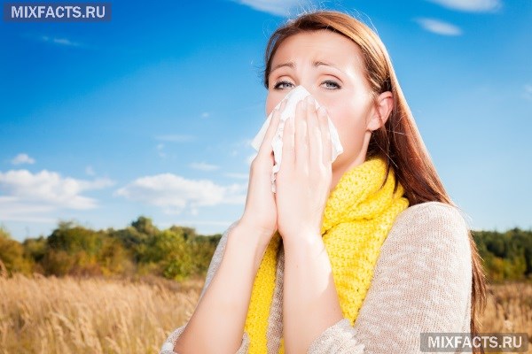 На что может быть аллергия в августе?