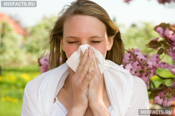 На что может быть аллергия в августе?
