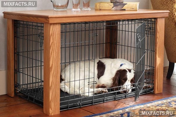 Недорогие клетки для собак в квартиру – обзор и инструкция для постройки  