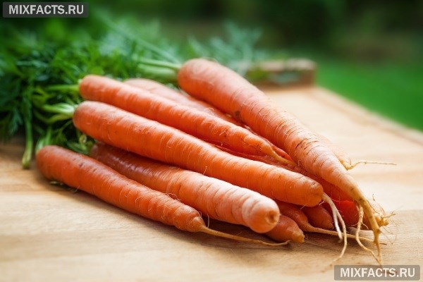 Как заморозить морковь на зиму и что из нее потом приготовить? 