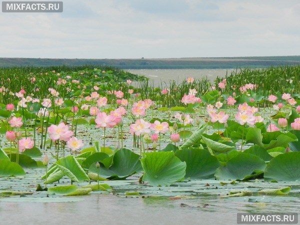 Самые красивые места в России – описание с фото  