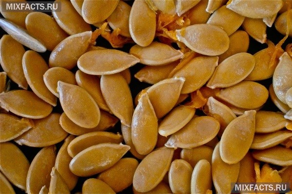 Масло тыквы из семян – польза и вред, способы применения 